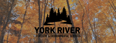 York River Forestry & Environmental Services